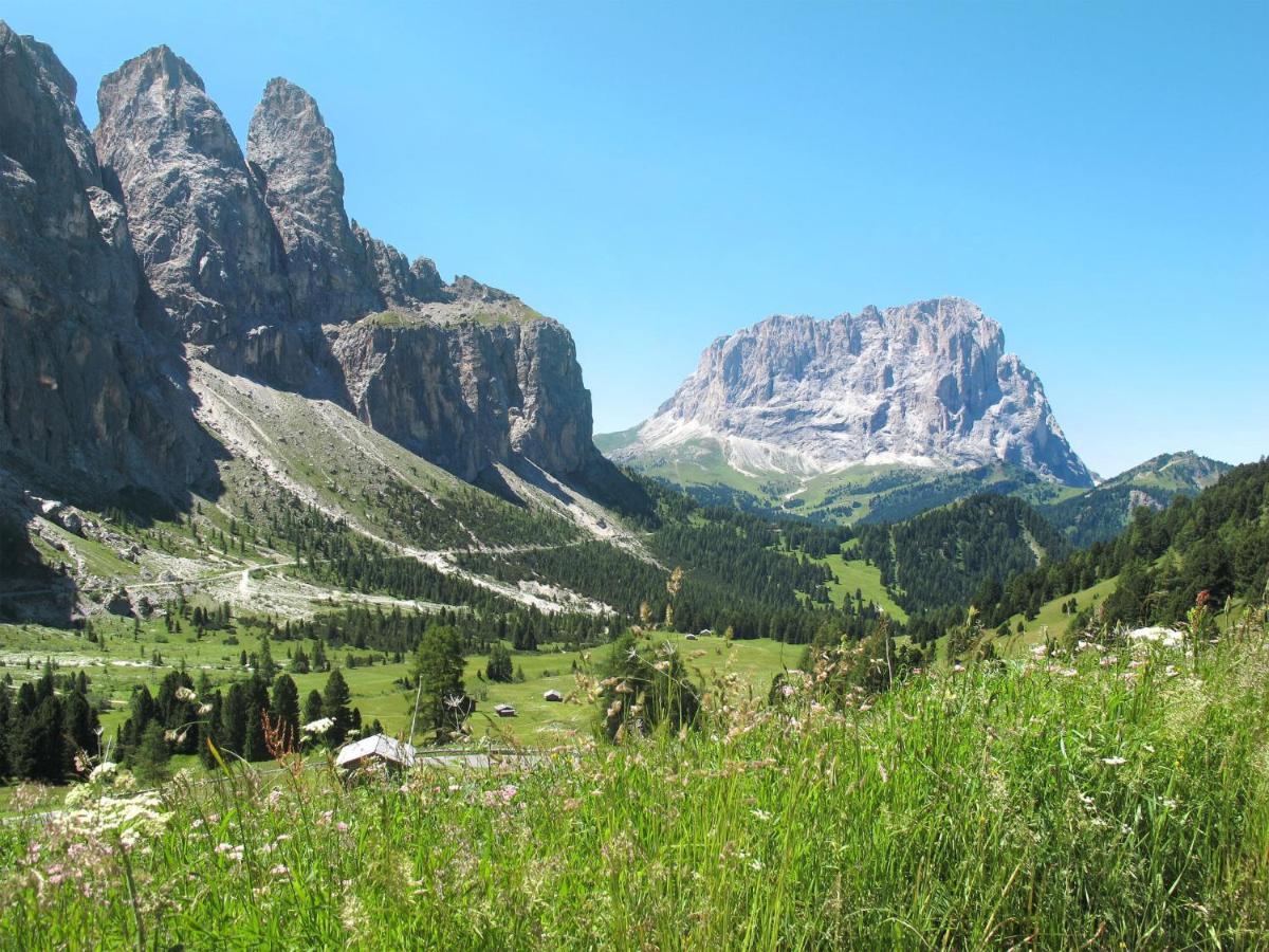 Appartamento Locazione Turistica Spinel - CPO398 Campitello di Fassa Esterno foto